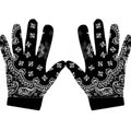 Paisley BB Glove