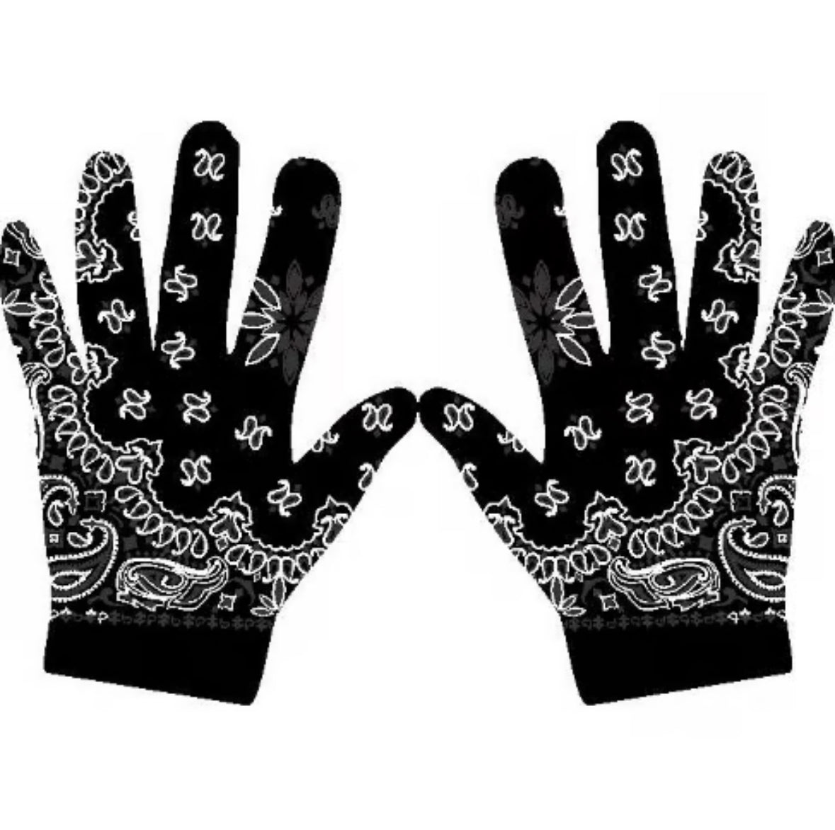 Paisley BB Glove